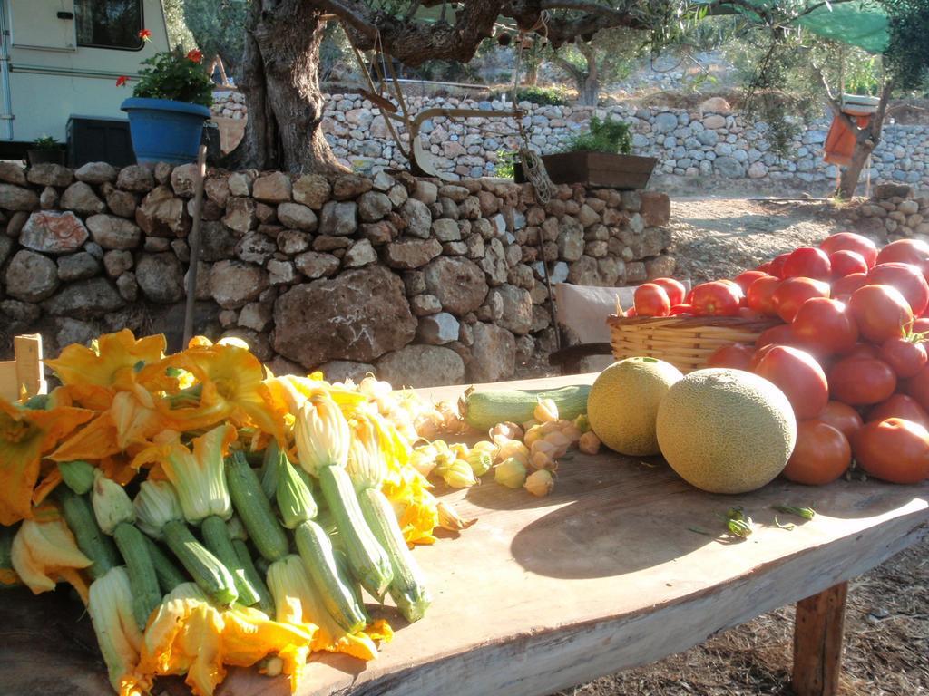 Karavostásion Elixirion Guest House מראה חיצוני תמונה